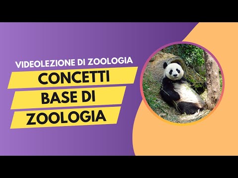 Zoologia - Parte 1 - Videolezione
