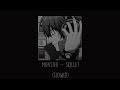 Skillet Monster Slowed