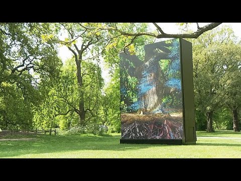 Kew Gardens’ historic oak reimagined as digital artwork