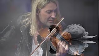 The Swan (by Saint-Saëns) David Garrett