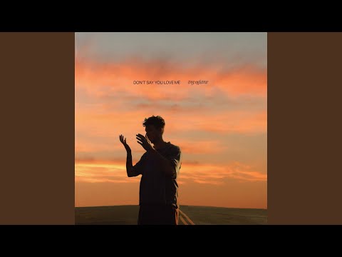 don't say you love me