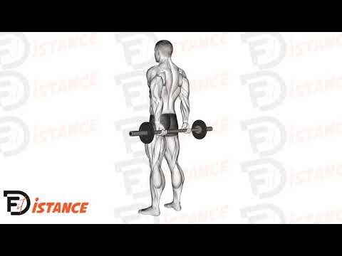 Exercice Curl des doigts avec barre derrière le dos