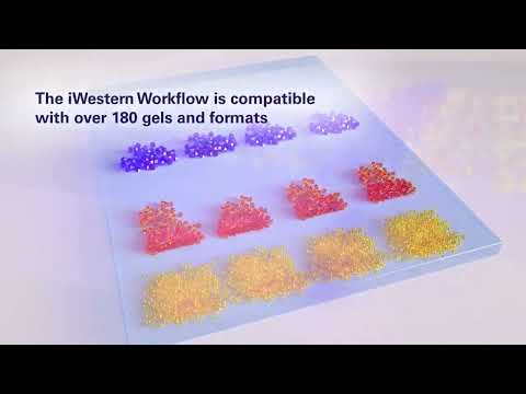 Powerful Benchtop Instruments – Western Workflow Bundle