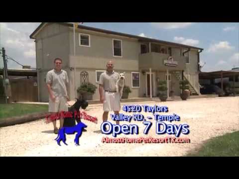 download lagu mp3 mp4 Almost Home Pet Resort, download lagu Almost Home Pet Resort gratis, unduh video klip Almost Home Pet Resort