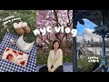 life in nyc vlog 🌸 spring days in central park, cherry blossoms + magnolias,  charcuterie picnic