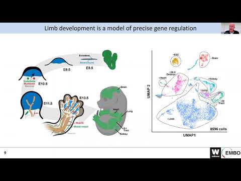 Recent Advances in scEpigenomics 2021 - Michael Robson (MPI-MG, Berlin)
