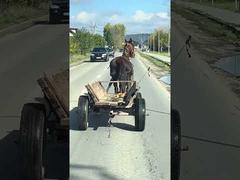 😲 AOLEU căruță  pe pilot automat umbla prin Brașov ❗😲 #romania #auto #trafic