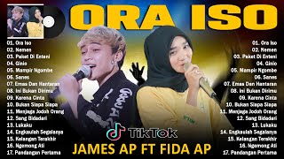 Download lagu FIDA AP X JAMES AP FULL ALBUM TERBAIK 2023 VIRAL SOSMED...!!! TOP HITS mp3