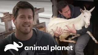 Thumbnail del capítulo