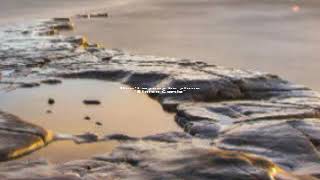 Dont wanna be alone by Simon Curtis lyrics