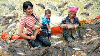A single girl and her son help an old woman harvest pond fish - Go to Lam Binh market to sell
