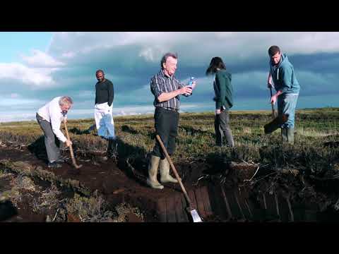 Drawing Little Men in the Ashes - P.J. Murrihy (Official Music Video)