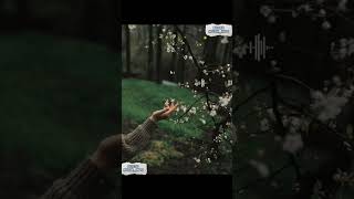 Download lagu Rossa - takkan berpaling darimu #lagupopuler #shortviral #feedshorts #fyp #rossa mp3