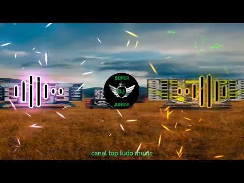 Festa De Paredão  - Dj Dm & Luana Allen