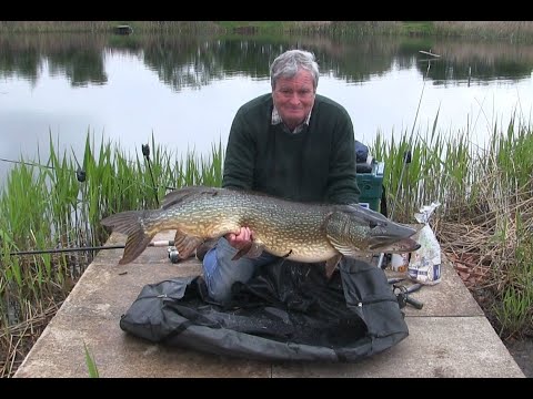 My biggest Pike - 38lb 15 oz