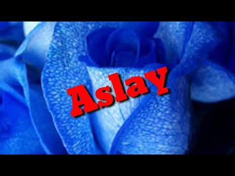 Homa  video(LYRICS) Osama,podo, Aslay