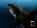 Seamonsters 1 2 And 3