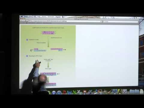 #21 BB 350 Translation III / Biotechnology I - Kevin Ahern's Biochemistry Online