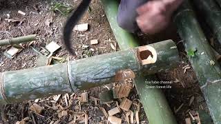 Full video compilation) Redeem white pheasants from hunters. Build cages to raise. Green forest life