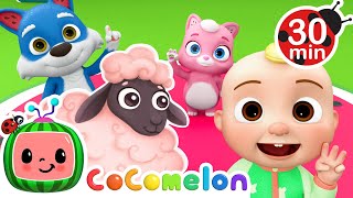 Baa Baa Black Sheep (Dance Party) + MORE CoComelon Animal Time | Animals for Kids