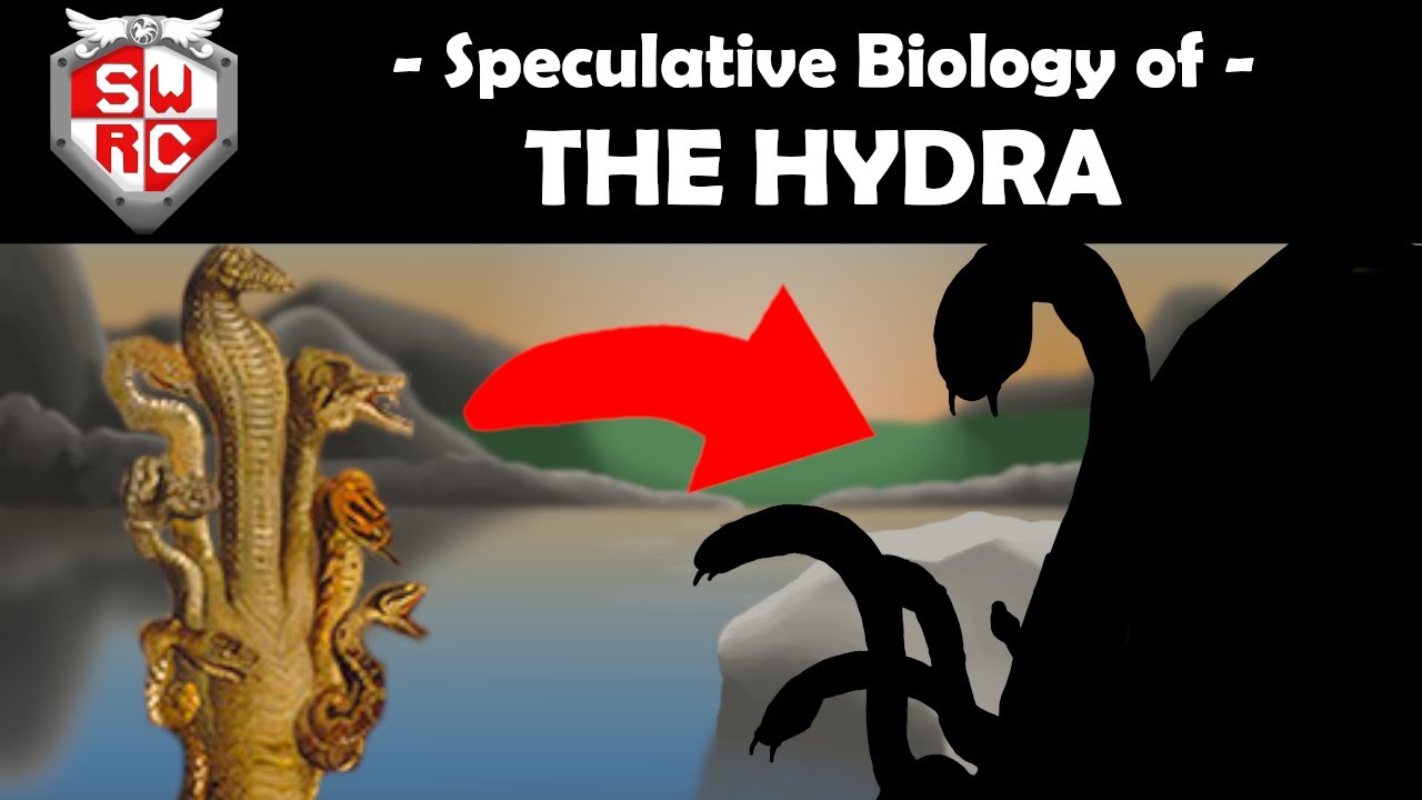 Speculative Biology of the HYDRA! (Mythology SPEC EVO!)