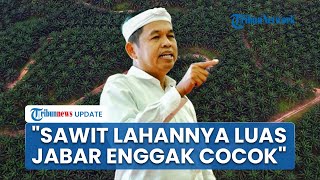 Dedi Mulyadi Resmi Larang Kelapa Sawit di Jabar, Singgung Krisis Air hingga Bencana Lingkungan