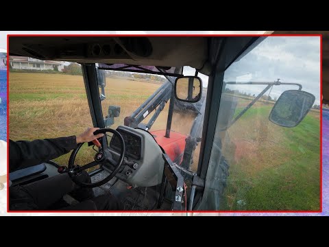 Koneiren pesua, ruiskun nesteitä ja riistapeltoa.