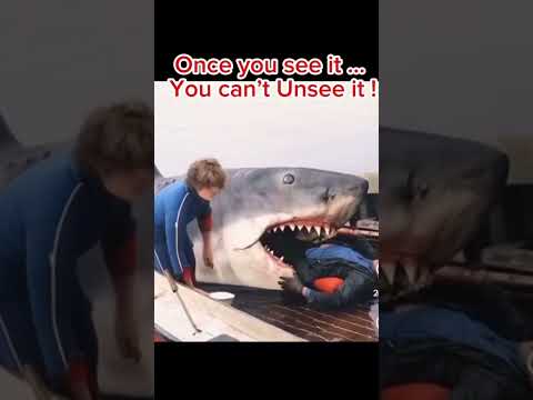 #jaws #film #movie #shark #trending #trend #shortsvideo #shorts #viralshorts #50thanniversary
