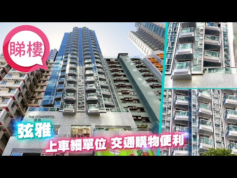 弦雅 Youtube Video 弦雅 Youtube Video