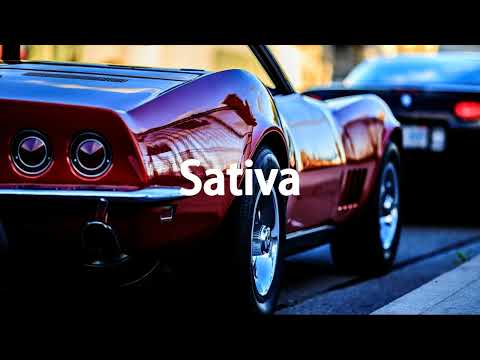 [SOLD] Miyagi x Эндшпиль x TumaniYO Type Beat - "Sativa"