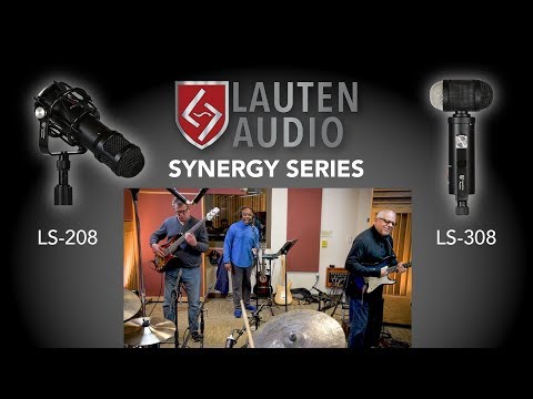 Lauten Audio LS-308 Large Diaphragm Second-Order Cardioid Condenser Microphone image 6