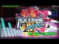 Raiden Iv X Mikado Remix De Un Vistazo Primeros Pasos G