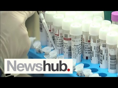 Experts sound alarm, issue warning over 'perilous' state of medical lab workforce | Newshub