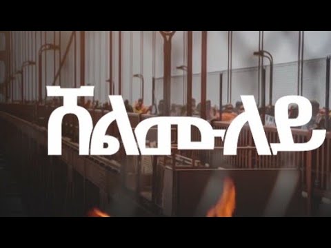 ሸለሙለይ - በላይ ገብረየሱስ - ንሰራዊት ትግራይ ዝተደረፈት ደርፊ ትግርኛ - Belay Gebreyesus - Shelmuley - New Tigrigna Music