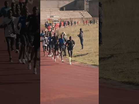😱 pace 2:50km hard workout kenya 🇰🇪 team #running #funny #run #runner #1500m #1600m #viralvideo