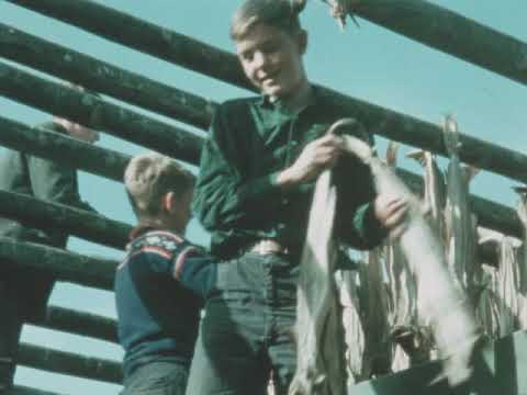 Incredible Iceland (1967)