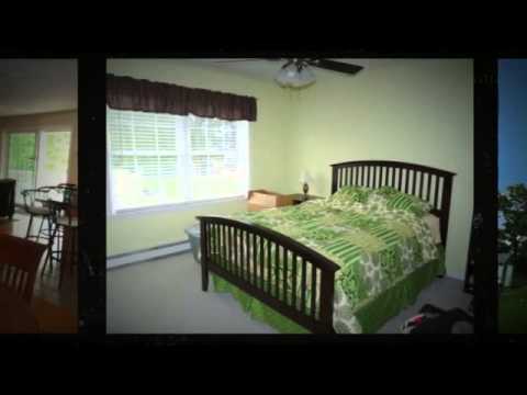 17 Wisteria St - Worcester, MA 01604