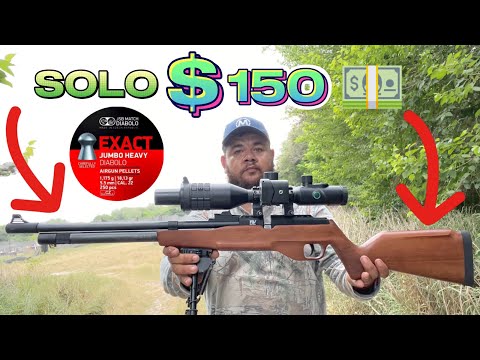 EL RIFLE PCP MÁS BARATO QUE EXISTE NOVA VISTA 5.5 #airgunshooting #tirodeportivo #pcpairguns #rifle