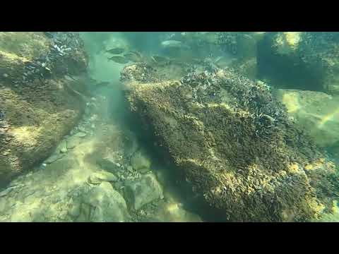 Camping Mare Pineta - Sistiana - Italien