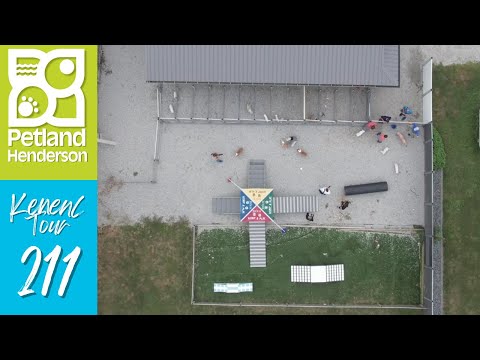 Petland Henderson Kennel Tour 211