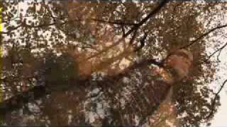 IRONIK - IMAGINE - NO POINT IN WASTING TEARS OUT NOW!!!!!!!!!!!!!!!!