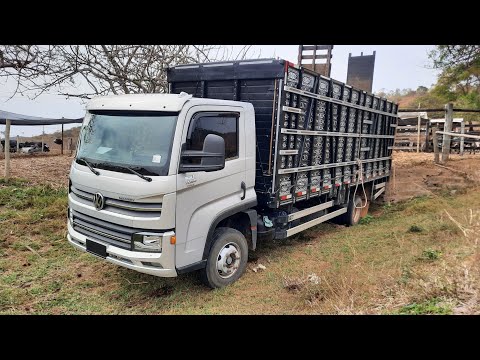 #33. Why didn't I buy a bigger truck? Answering a subscriber.