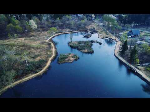 Imori Pond - Mizu Bashou