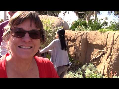 SD Zoo - 2017.11.02 Zoo time39