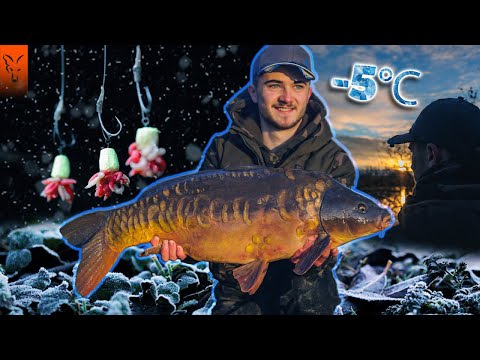 It was FREEZING 🥶 He Caught Loads! Winter Carp Fishing
