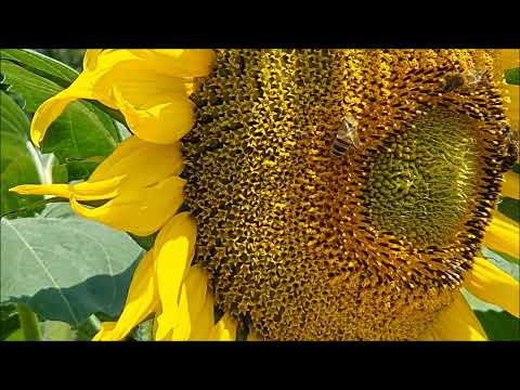 Bike trip on KTM MACINA Sport 11 CX5