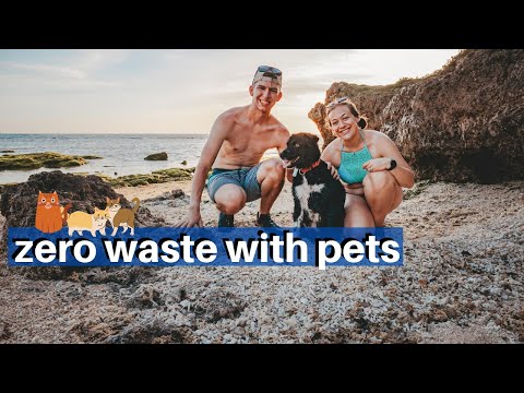HOW TO LIVE ZERO WASTE WITH PETS! zero waste with a dog AND zero waste with a cat 🐶🐈