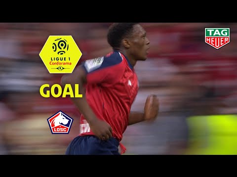Goal Lebo MOTHIBA (45') / LOSC - Stade Rennais FC (3-1) (LOSC-SRFC) / 2018-19
