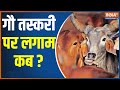 Rajasthan: This year, there are elections for the state's legislature. Smuggling of cows