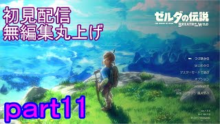 【初見配信】ゼルダの伝説　ブレスオブザワイルド　11日目【無編集丸上げ】